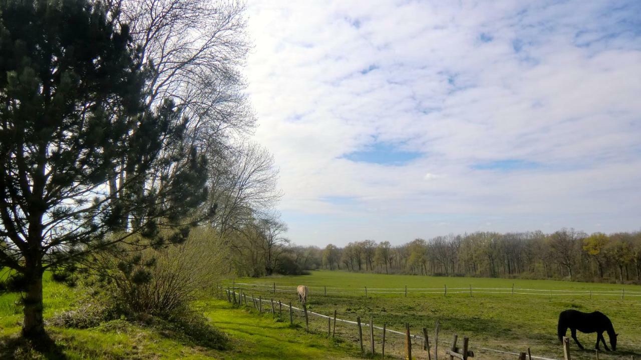 Villa Les Anniquins Ivoy-le-Pré Exterior foto